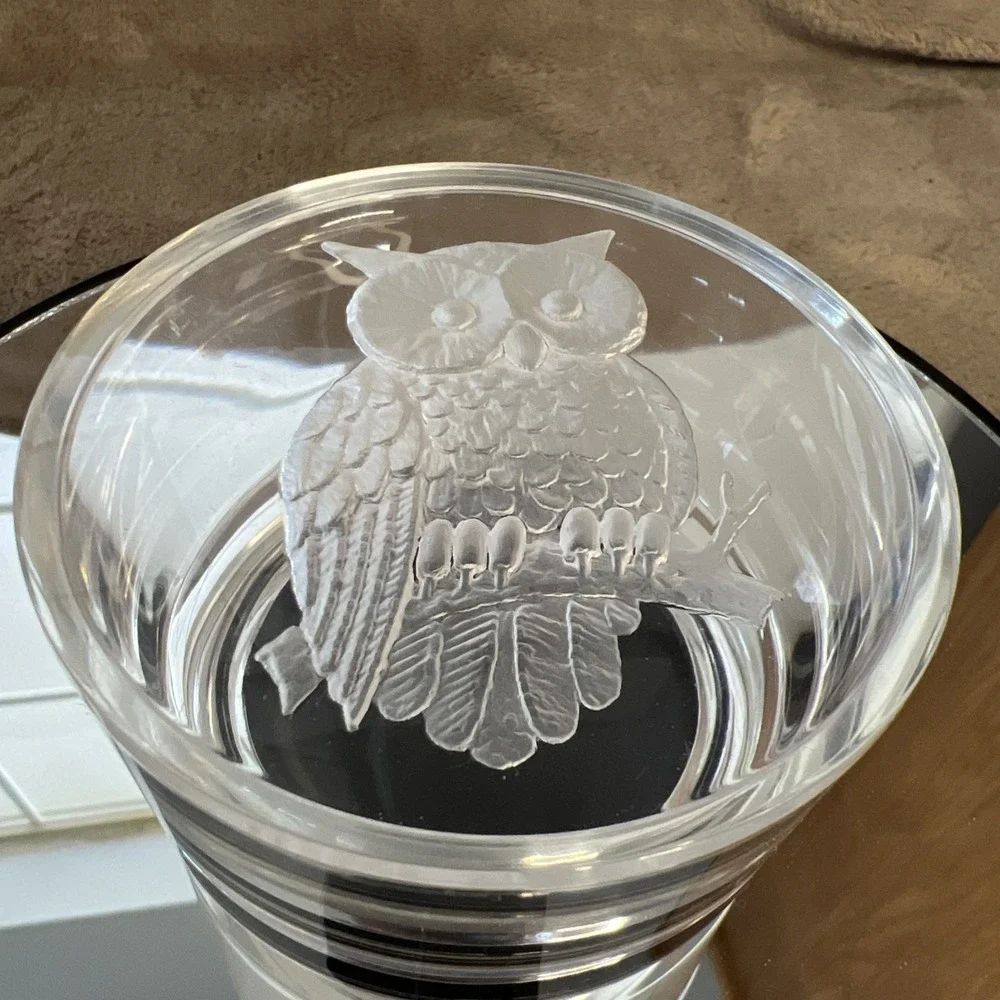 Vintage Clear Acrylic‎ Lidded Trinket Box Etched Owl Felt Bottom